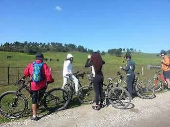 Hostel Blue Boutique & Suites *